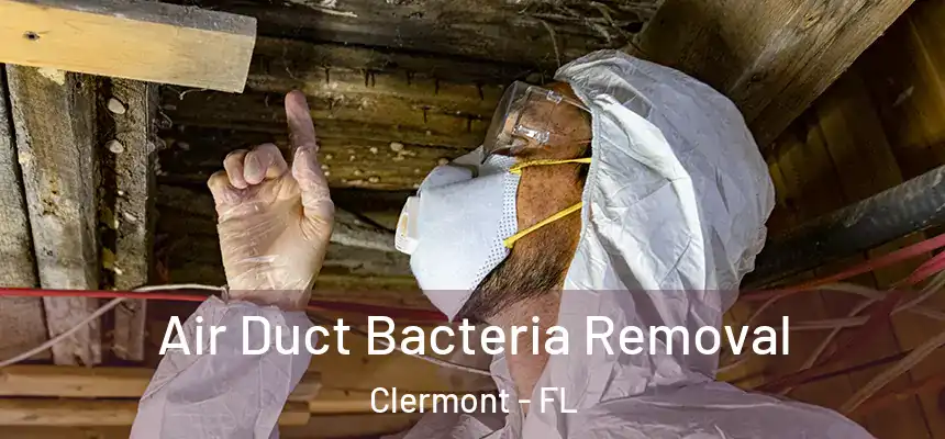 Air Duct Bacteria Removal Clermont - FL