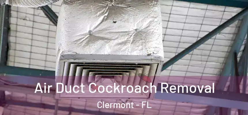 Air Duct Cockroach Removal Clermont - FL