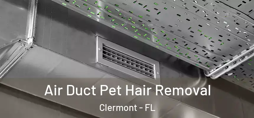 Air Duct Pet Hair Removal Clermont - FL
