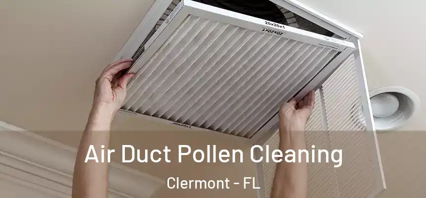 Air Duct Pollen Cleaning Clermont - FL