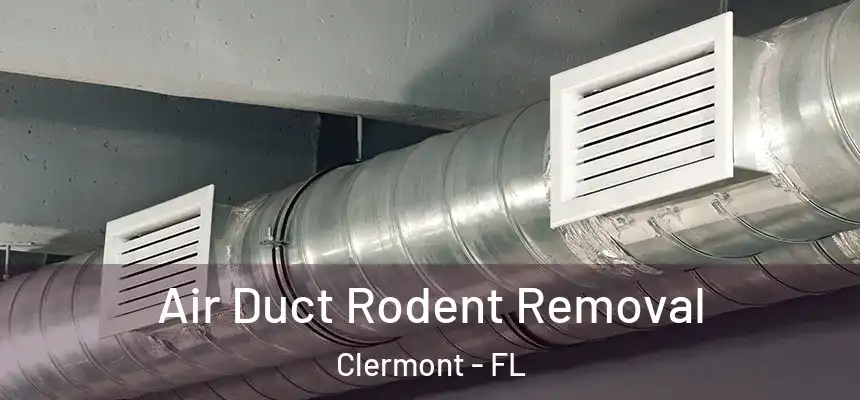 Air Duct Rodent Removal Clermont - FL