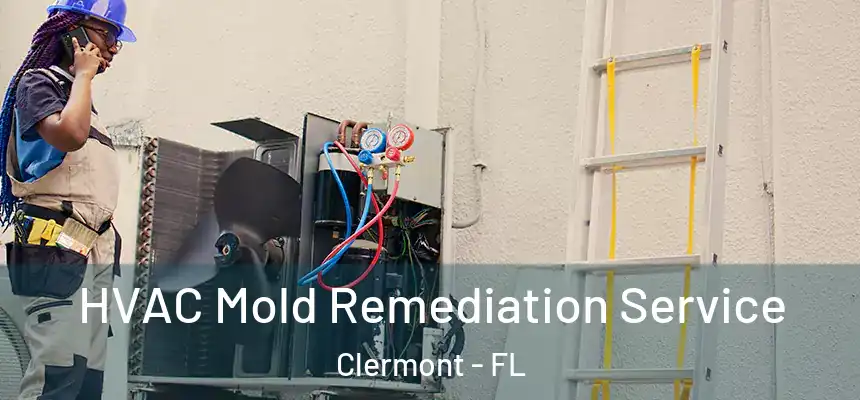 HVAC Mold Remediation Service Clermont - FL