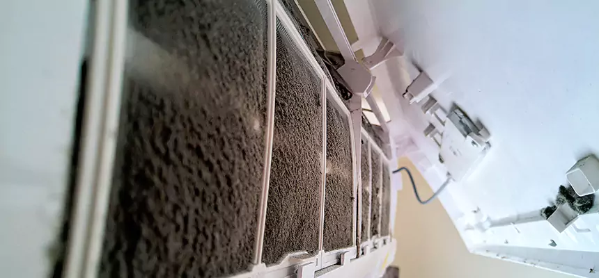 Preventive Air Duct Bacteria Removal in Clermont