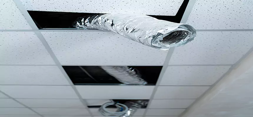 Affordable HVAC Sanitizing After Pest Removal in Clermont