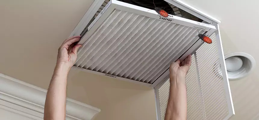 Our Insect Removal from Air Ducts Services in Clermont, FL