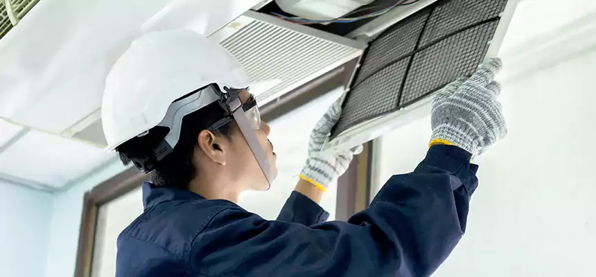 Our Mold & Mildew Removal from Air Ducts Services in Clermont, FL