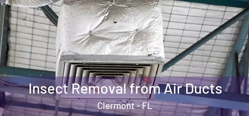 Insect Removal from Air Ducts Clermont - FL