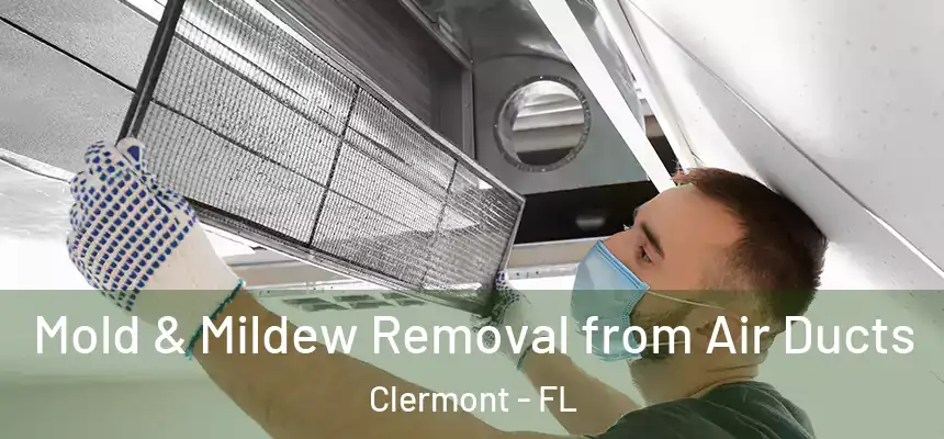 Mold & Mildew Removal from Air Ducts Clermont - FL