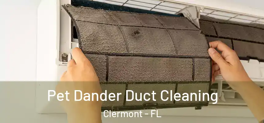 Pet Dander Duct Cleaning Clermont - FL