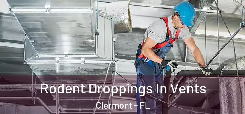 Rodent Droppings In Vents Clermont - FL