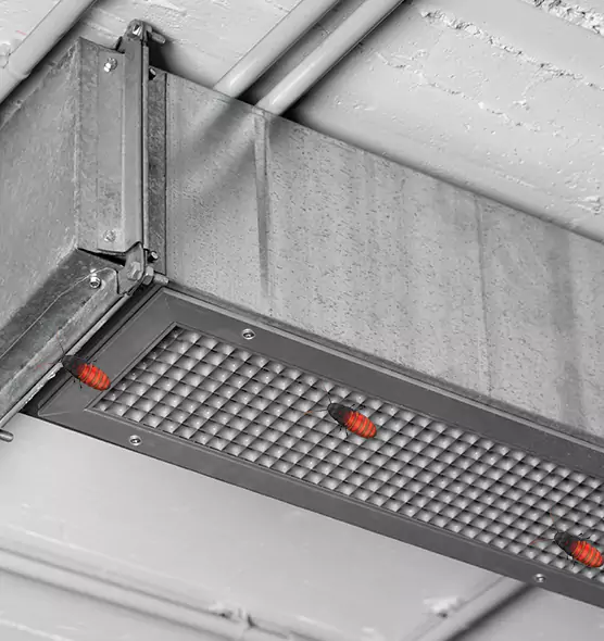 About Air Duct Cockroach Removal in Clermont, FL