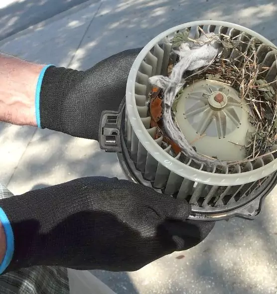 About Air Duct Rat Removal in Clermont, FL