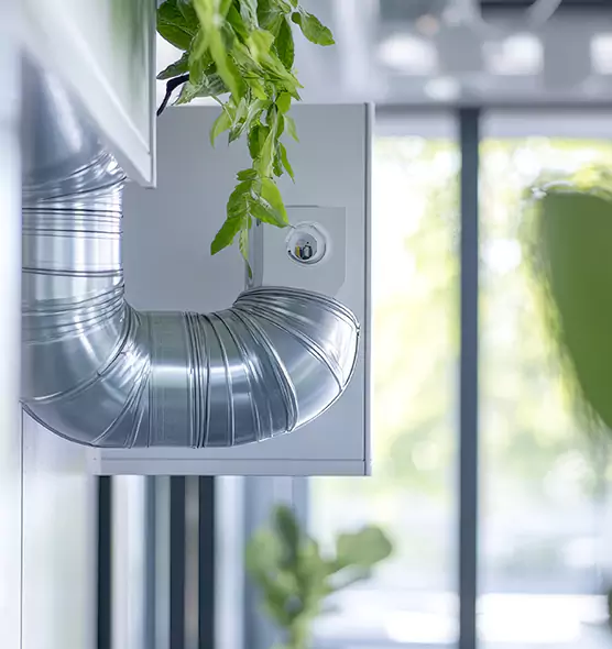Professional Eco-Friendly Duct Cleaning Services in Clermont, FL