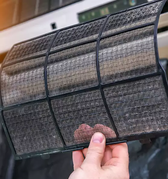 About Pet Dander Duct Cleaning in Clermont, FL